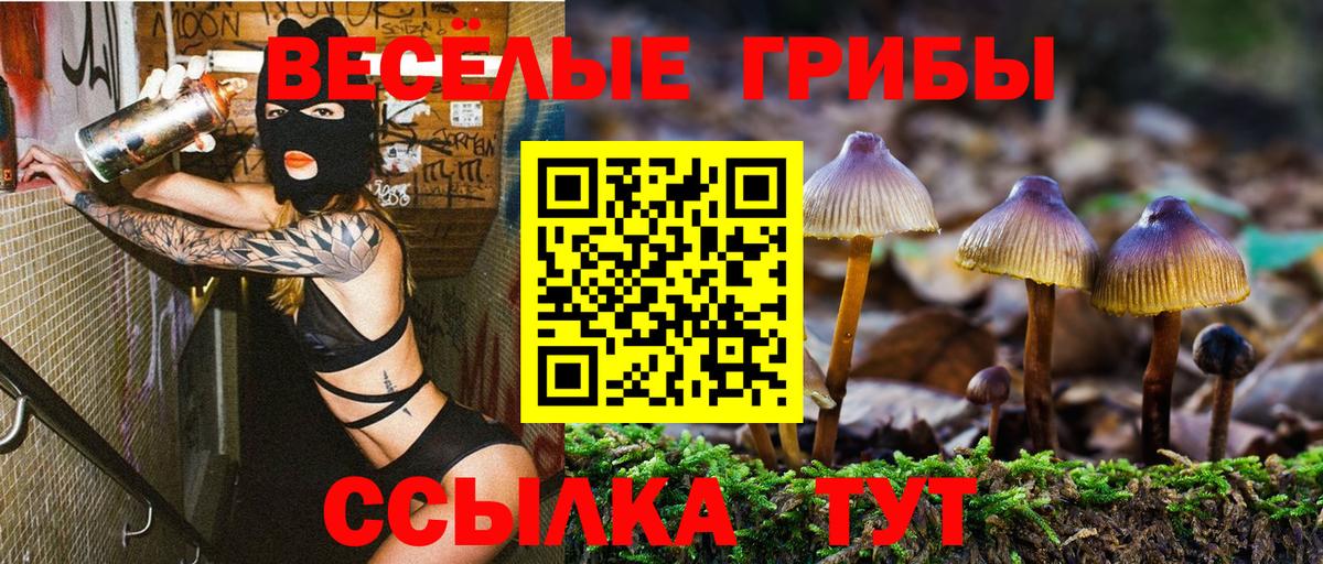 Псилоцибиновые грибы мухоморы Усть-Джегута
