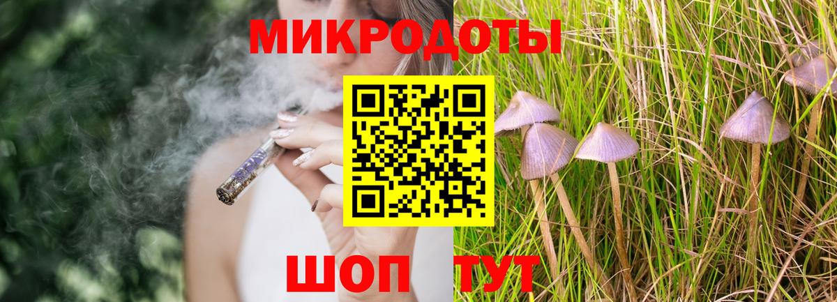 Усть-Джегута  Галлюциногенные грибы Psilocybe  Вход с VPN 